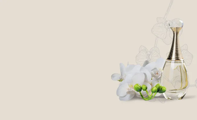 اسانس اورجینال عطر برندهای لوکس دنیا