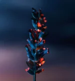 ساواژ الکسیر دیور | Sauvage Elixir by Dior شرکت لوزی فرانسه - Image 4