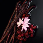 تصویر بطری بلک اوپیوم زنانه از برند ایو سن لورن، مشکی و درخشان، نمایانگر جذابیت شبانه و رایحهای اعتیادآور