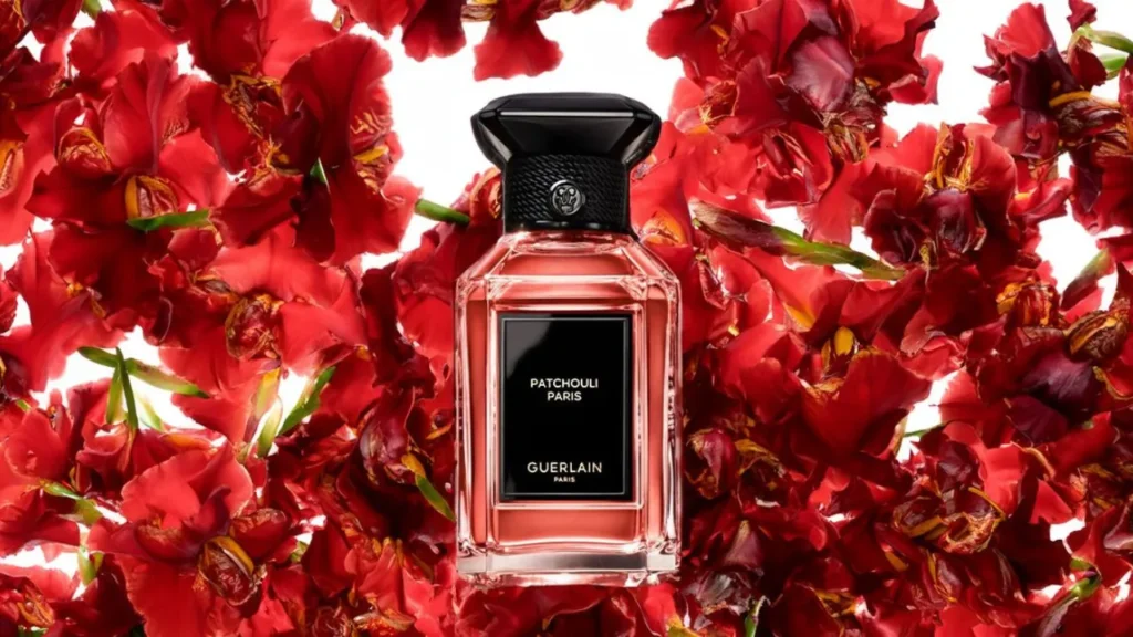 راهنمای کامل گروه‌های بویایی عطر کدام رایحه برای شما مناسب‌تر SILVENORاست؟ فروشگاه عطر سیلونور