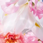 میس دیور ادو پرفیوم | Miss Dior EDP